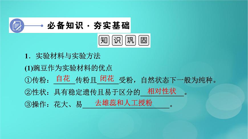 新高考適用2024版高考生物一輪總復(fù)習(xí)必修2遺傳與進(jìn)化第5單元孟德爾定律和伴性遺傳第1講基因的分離定律課件第6頁