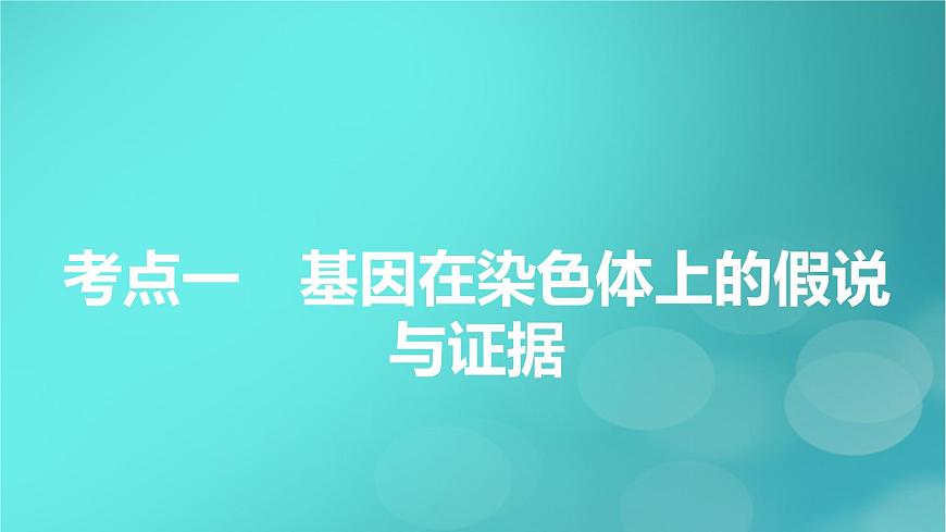 新高考適用2024版高考生物一輪總復(fù)習(xí)必修2遺傳與進(jìn)化第5單元孟德爾定律和伴性遺傳第3講伴性遺傳和人類遺傳參件課件PPT第5頁