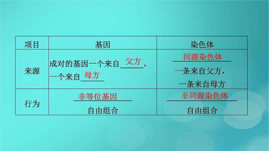 新高考適用2024版高考生物一輪總復(fù)習(xí)必修2遺傳與進(jìn)化第5單元孟德爾定律和伴性遺傳第3講伴性遺傳和人類遺傳參件課件PPT第8頁