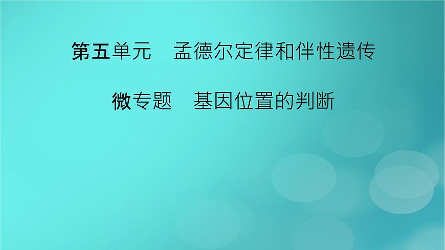 新高考適用2024版高考生物一輪總復(fù)習(xí)必修2遺傳與進(jìn)化第5單元孟德爾定律和伴性遺傳微專題基因位置的判斷課件第2頁