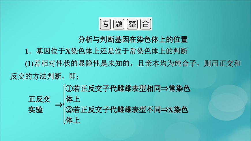 新高考適用2024版高考生物一輪總復(fù)習(xí)必修2遺傳與進(jìn)化第5單元孟德爾定律和伴性遺傳微專題基因位置的判斷課件第3頁