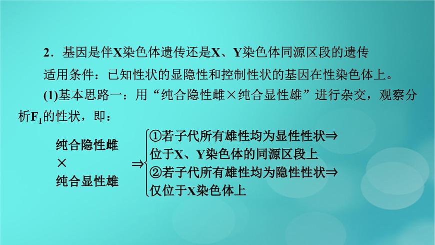 新高考適用2024版高考生物一輪總復(fù)習(xí)必修2遺傳與進(jìn)化第5單元孟德爾定律和伴性遺傳微專題基因位置的判斷課件第5頁