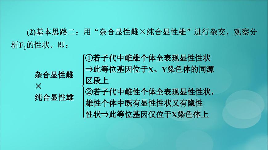 新高考適用2024版高考生物一輪總復(fù)習(xí)必修2遺傳與進(jìn)化第5單元孟德爾定律和伴性遺傳微專題基因位置的判斷課件第6頁