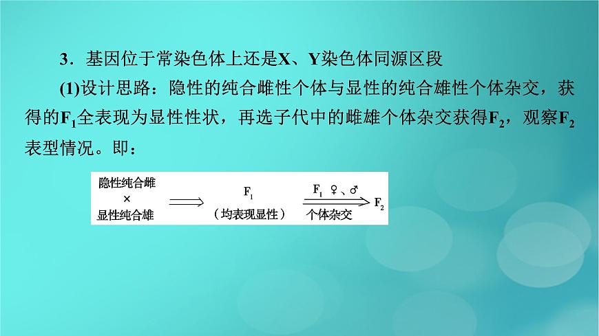 新高考適用2024版高考生物一輪總復(fù)習(xí)必修2遺傳與進(jìn)化第5單元孟德爾定律和伴性遺傳微專題基因位置的判斷課件第7頁
