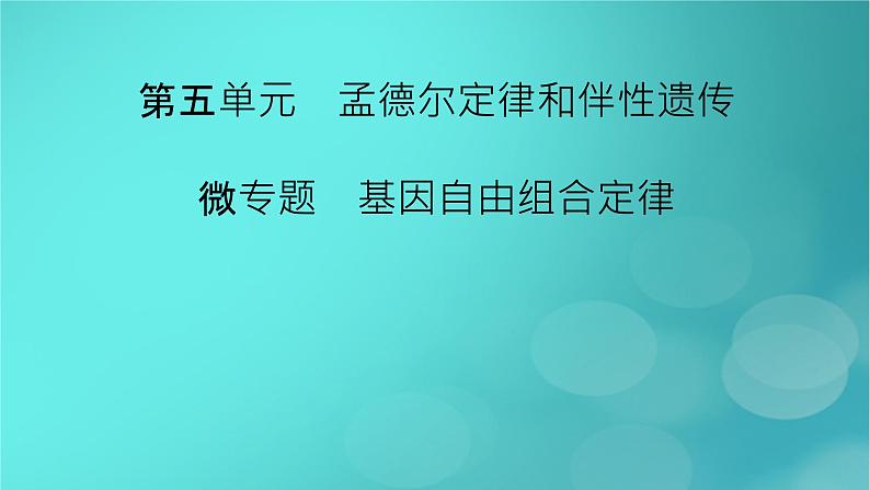 新高考适用2024版高考生物一轮总复习必修2遗传与进化第5单元孟德尔定律和伴性遗传微专题基因自由组合定律课件02