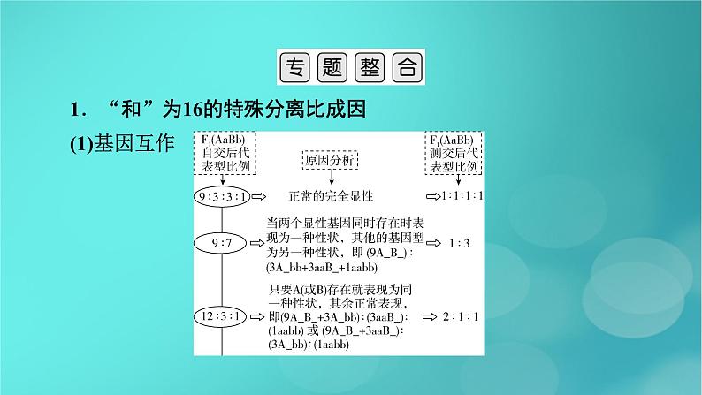 新高考适用2024版高考生物一轮总复习必修2遗传与进化第5单元孟德尔定律和伴性遗传微专题基因自由组合定律课件03