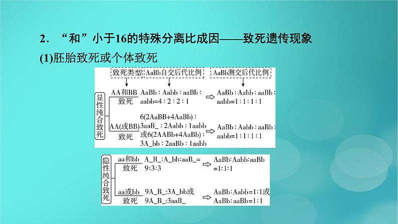 新高考适用2024版高考生物一轮总复习必修2遗传与进化第5单元孟德尔定律和伴性遗传微专题基因自由组合定律课件06
