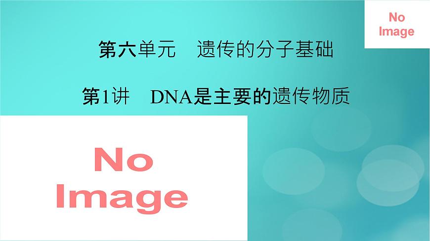 新高考適用2024版高考生物一輪總復(fù)習(xí)必修2遺傳與進(jìn)化第6單元遺傳的分子基礎(chǔ)第1講DNA是主要的遺傳物質(zhì)課件第2頁(yè)
