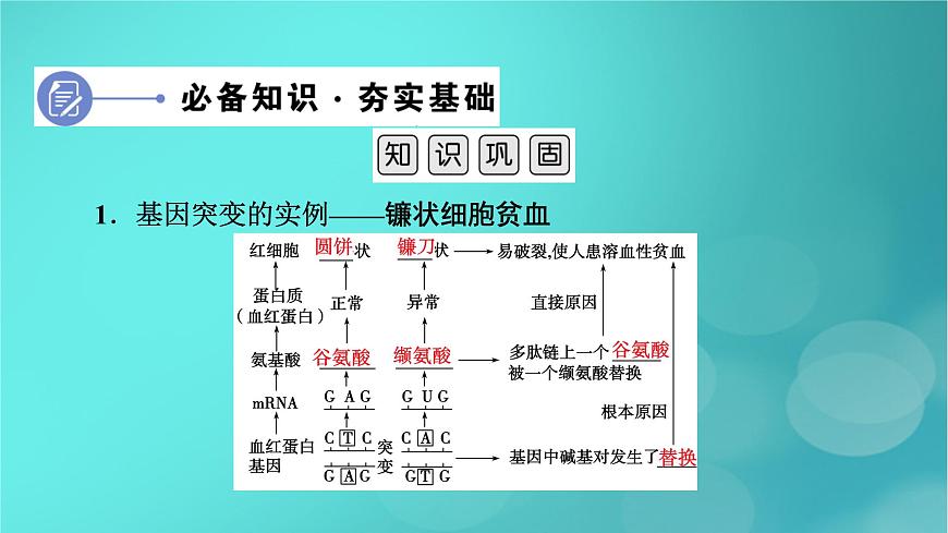新高考適用2024版高考生物一輪總復(fù)習(xí)必修2遺傳與進(jìn)化第7單元生物的變異育種與進(jìn)化第1講基因突變和基因重組課件第6頁(yè)
