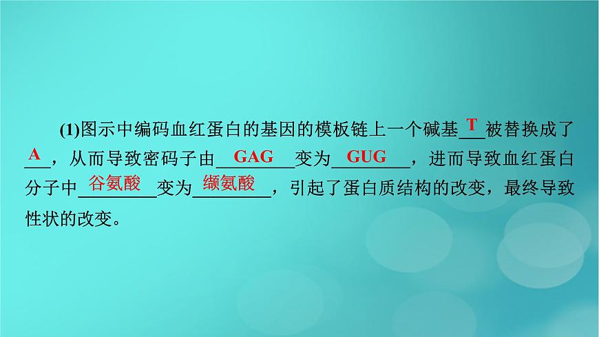新高考適用2024版高考生物一輪總復(fù)習(xí)必修2遺傳與進(jìn)化第7單元生物的變異育種與進(jìn)化第1講基因突變和基因重組課件第7頁(yè)