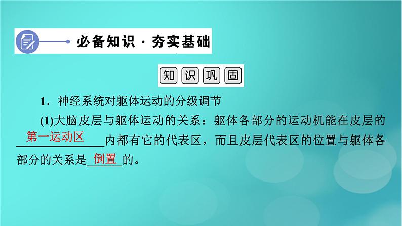 新高考适用2024版高考生物一轮总复习选择性必修1稳态与调节第8单元稳态与调节第3讲神经系统的分级调节与人脑的高级功能课件06