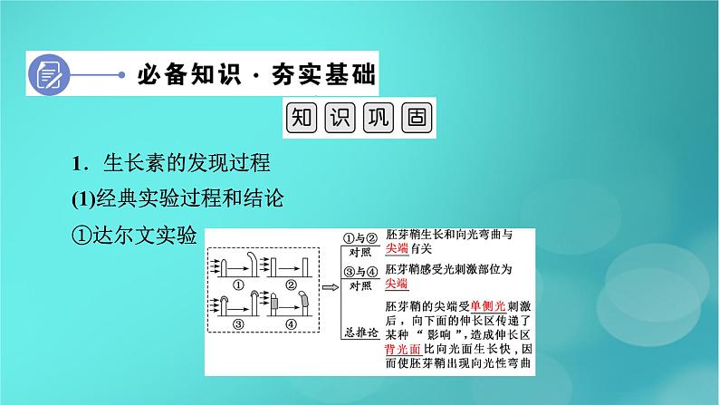 新高考适用2024版高考生物一轮总复习选择性必修1稳态与调节第8单元稳态与调节第6讲植物生命活动的调节课件07