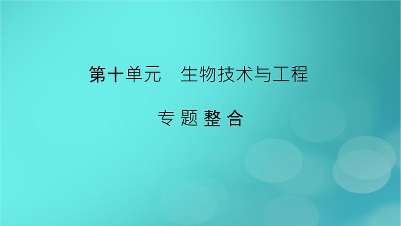 新高考适用2024版高考生物一轮总复习选择性必修3生物与技术第10单元生物技术与工程微专题DNA的粗提取与鉴定DNA片段的扩增及电泳鉴定课件02