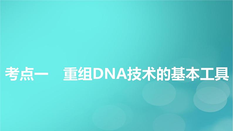 新高考适用2024版高考生物一轮总复习选择性必修3生物与技术第10单元生物技术与工程第5讲基因工程课件第5页