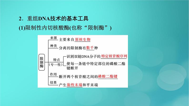 新高考适用2024版高考生物一轮总复习选择性必修3生物与技术第10单元生物技术与工程第5讲基因工程课件第7页