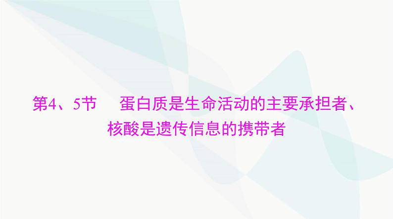 2024年高考生物一轮复习必修1第2章第4、5节蛋白质是生命活动的主要承担者、核酸是遗传信息的携带者课件第1页
