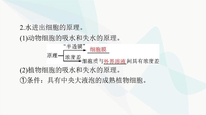 2024年高考生物一轮复习必修1第4章细胞的物质输入和输出课件第4页