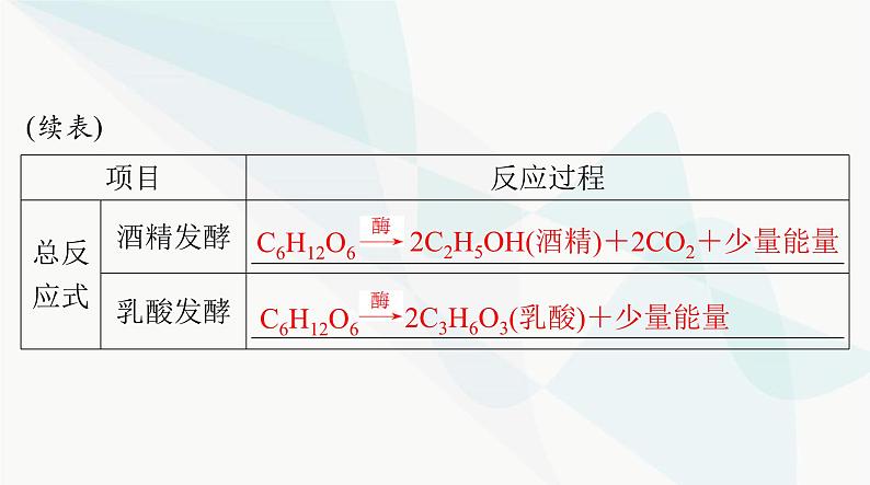 2024年高考生物一轮复习必修1第5章第3节细胞呼吸的原理和应用课件第7页