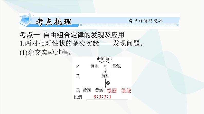 2024年高考生物一轮复习必修2第1章第2节孟德尔的豌豆杂交实验(二)课件02
