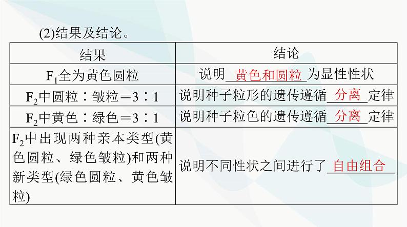 2024年高考生物一轮复习必修2第1章第2节孟德尔的豌豆杂交实验(二)课件03