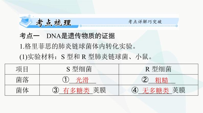 2024年高考生物一轮复习必修2第3章第1节DNA是主要的遗传物质课件04