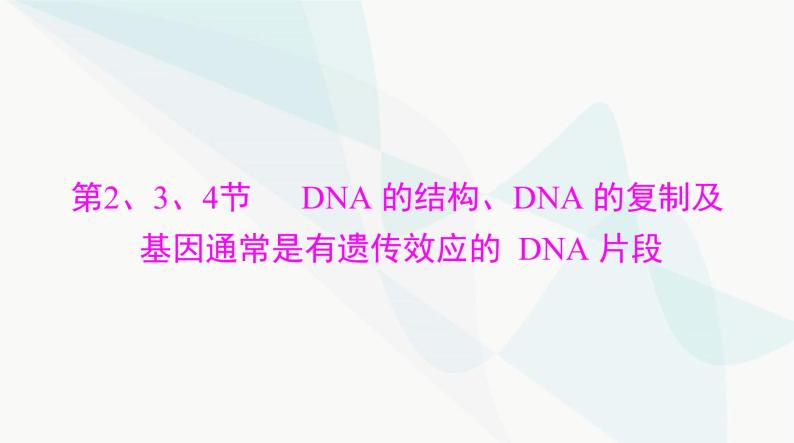 2024年高考生物一轮复习必修2第3章第2、3、4节DNA的结构、DNA的复制及基因通常是有遗传效应的DNA片段课件01