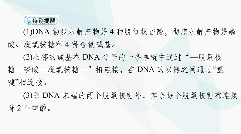 2024年高考生物一轮复习必修2第3章第2、3、4节DNA的结构、DNA的复制及基因通常是有遗传效应的DNA片段课件第6页