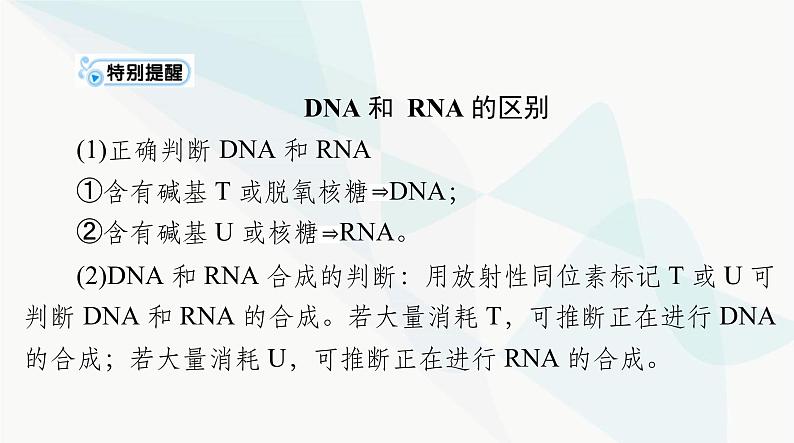 2024年高考生物一轮复习必修2第4章基因的表达课件第5页