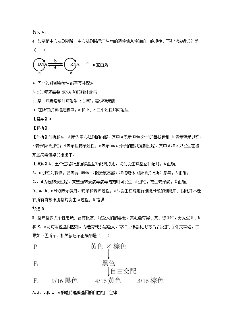 山东省泰安市新泰市第一中学（老校区）2022-2023学年高一生物下学期第二次段考试题（Word版附解析）03