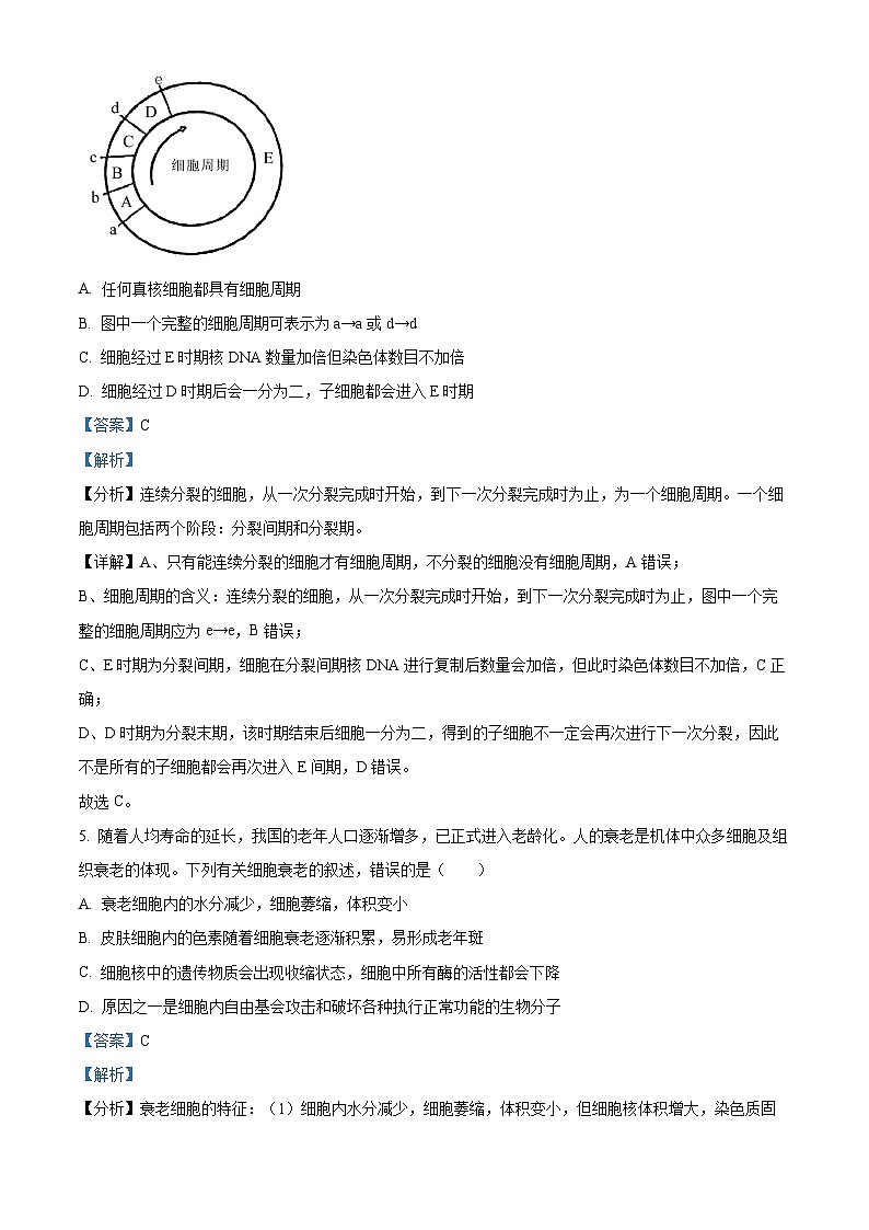 四川省广元中学2022-2023学年高一生物下学期4月月考试题(Word版附解析)03