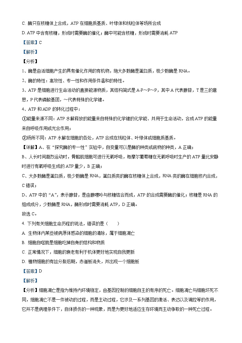 四川省泸州市泸县四中2022-2023学年高一生物下学期期中试题(Word版附解析)02