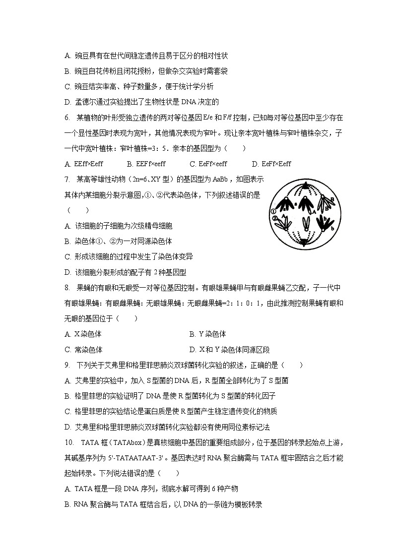 2022-2023学年山西省朔州市怀仁重点中学高一(下)期末生物试卷(含解析)02