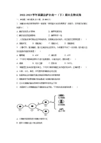 2022-2023学年西藏拉萨市高一（下）期末生物试卷（含解析）