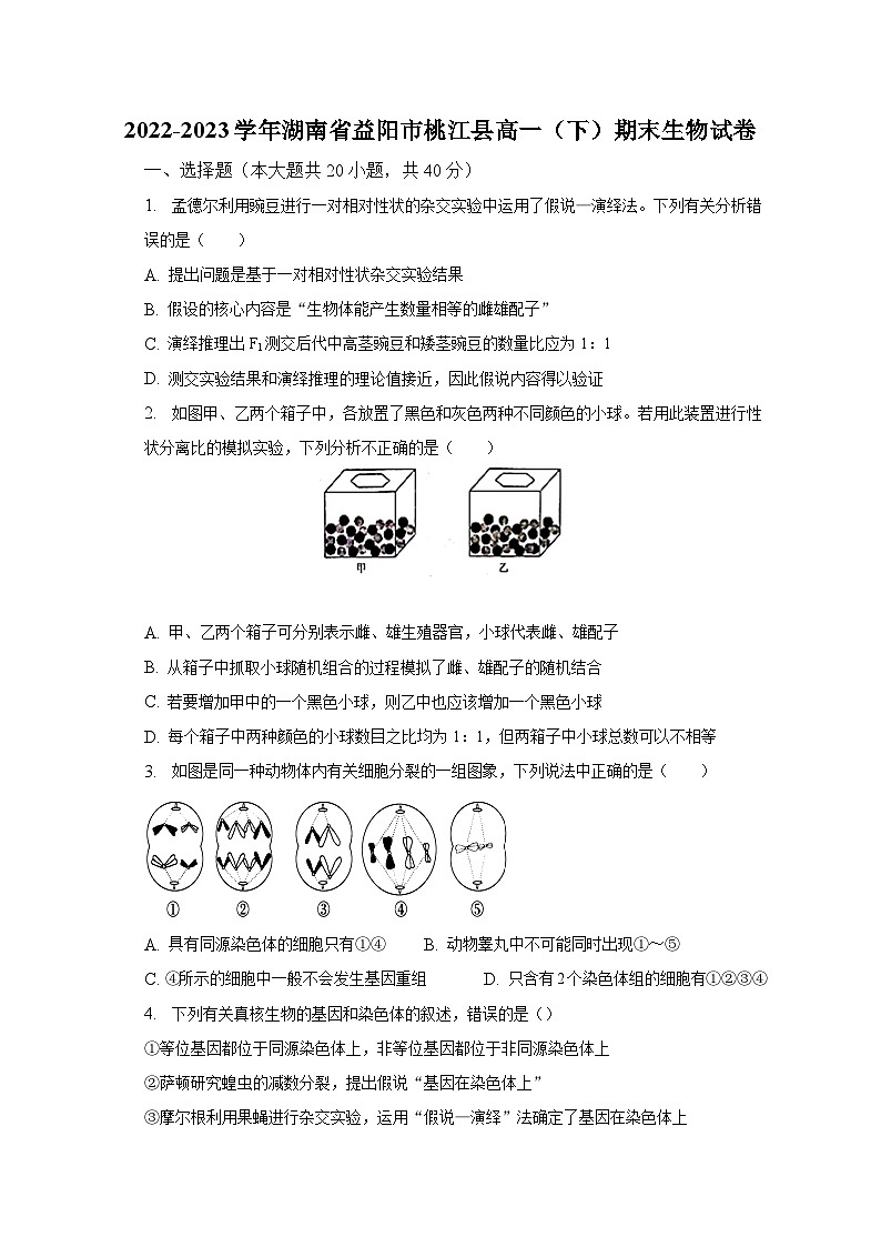 2022-2023学年湖南省益阳市桃江县高一(下)期末生物试卷(含解析)01