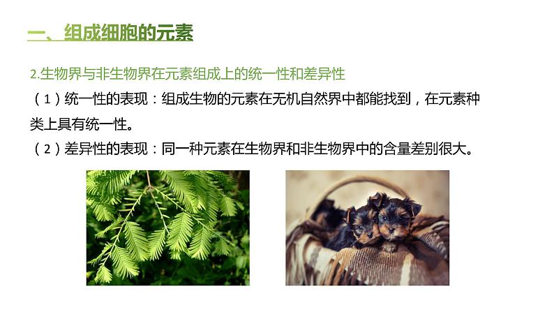 高中生物人教版(2019)必修1第二章2.1《细胞中的元素和化合物》课件第4页