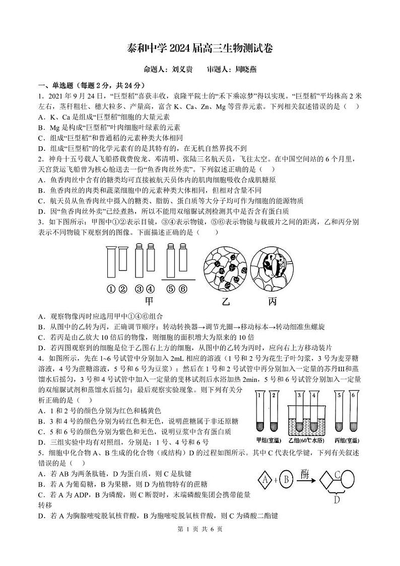 江西省泰和中学2024届高三暑期质量检测生物第1页