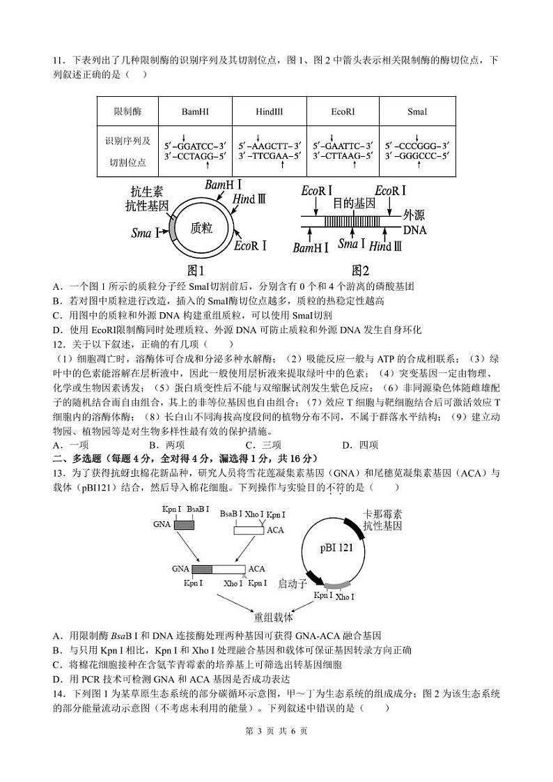 江西省泰和中学2024届高三暑期质量检测生物第3页