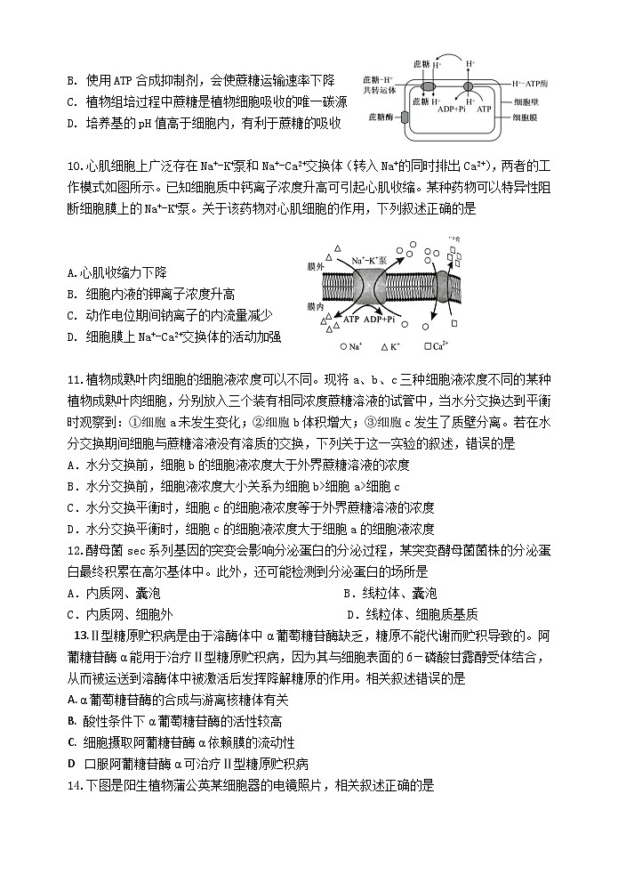 2024江苏省灌南高级中学高三上学期暑期检测(一)生物含答案03