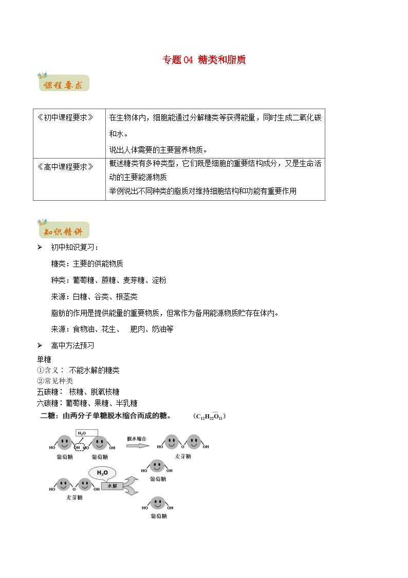 初升高暑期衔接2023高一生物精讲精练专题04糖类和脂质