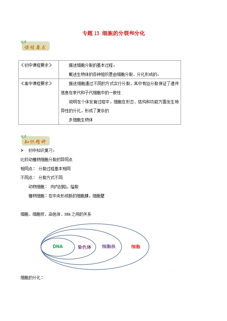 初升高暑期衔接2023高一生物精讲精练专题13细胞的分裂和分化