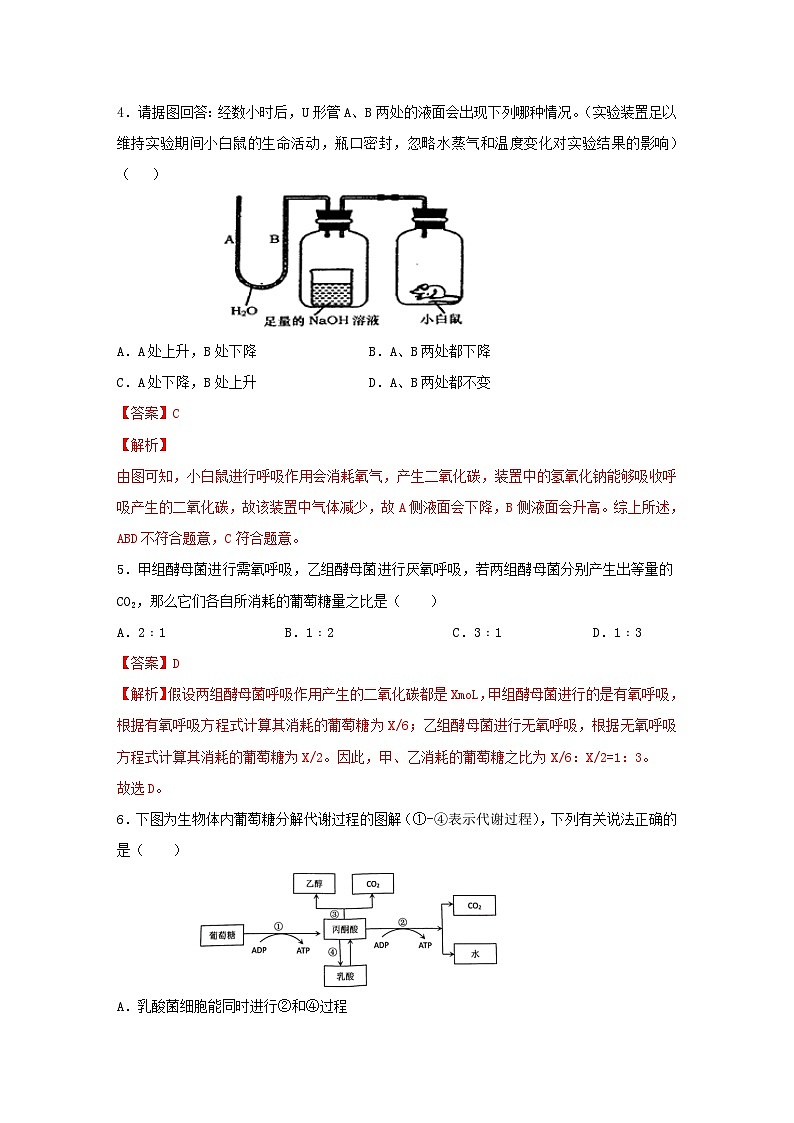 暑期预习2023高中生物专题08细胞呼吸的原理及其应用核心素养练习新人教版必修1第2页