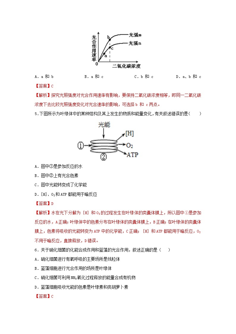 暑期预习2023高中生物专题09光合作用的原理及其应用核心素养练习新人教版必修102