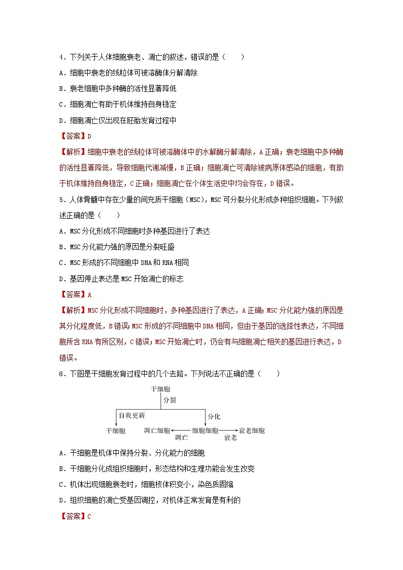 暑期预习2023高中生物专题11细胞的分化衰老与死亡核心素养练习新人教版必修1第2页