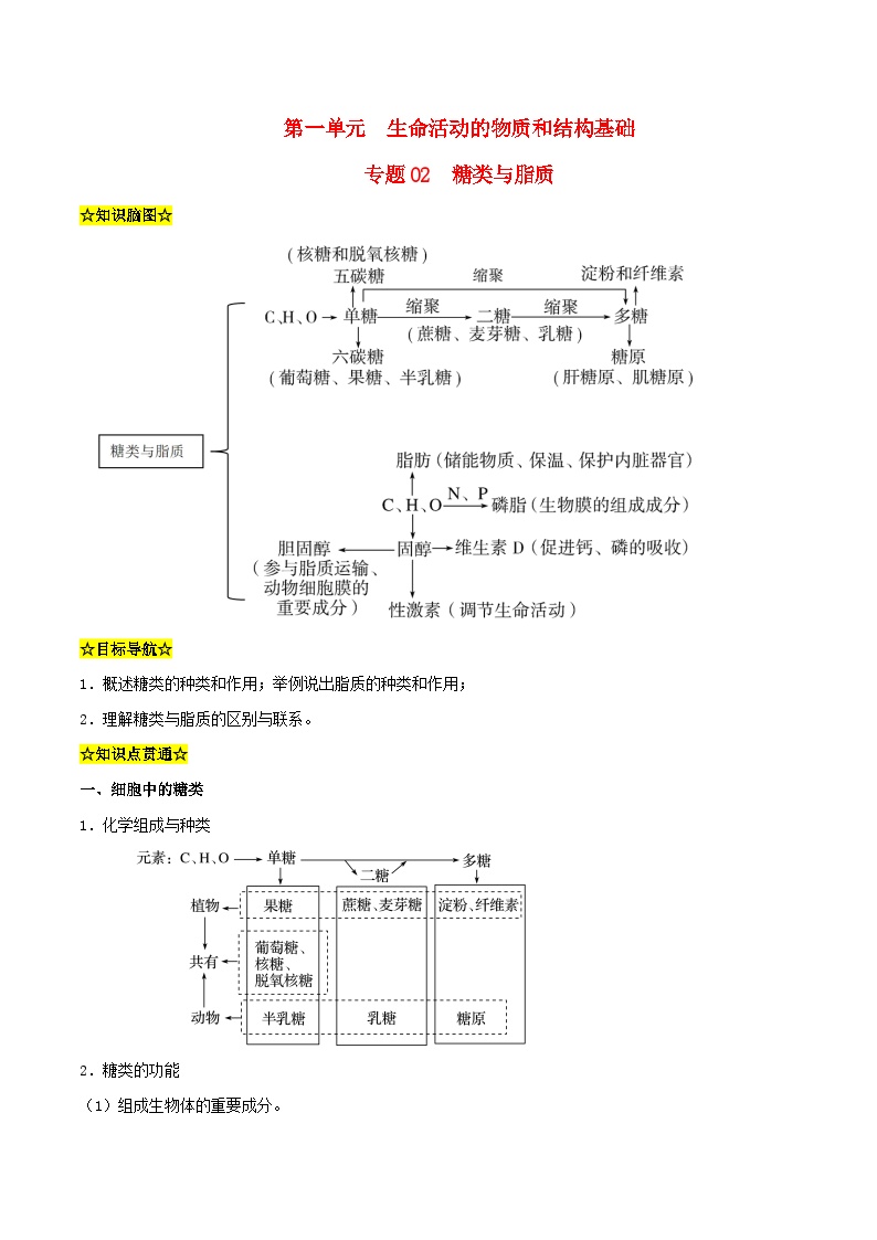 暑期预习2023高中生物专题02糖类与脂质知识精讲新人教版必修1