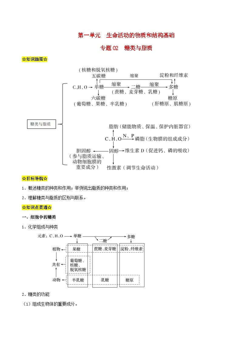 暑期预习2023高中生物专题02糖类与脂质知识精讲新人教版必修101