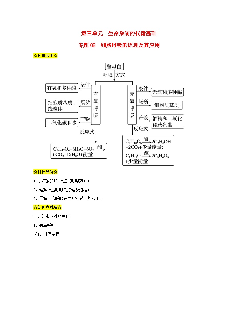 暑期预习2023高中生物专题08细胞呼吸的原理及其应用知识精讲新人教版必修1