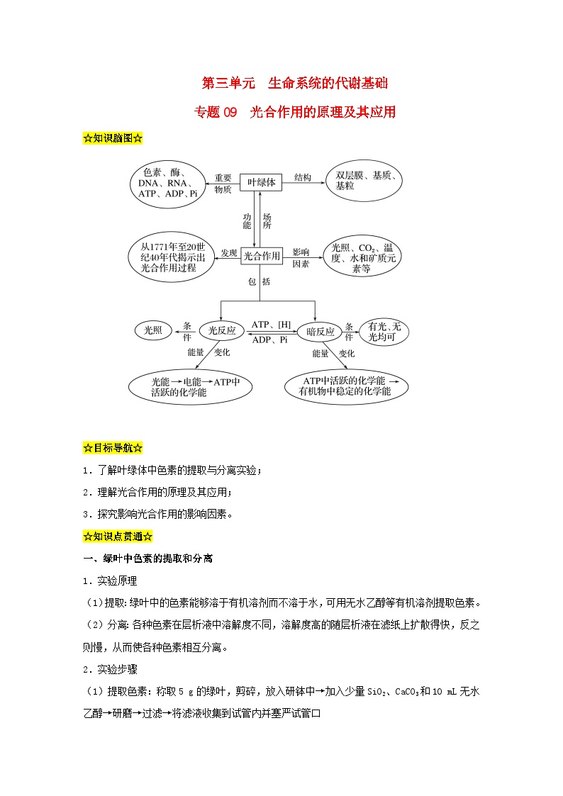 暑期预习2023高中生物专题09光合作用的原理及其应用知识精讲新人教版必修1