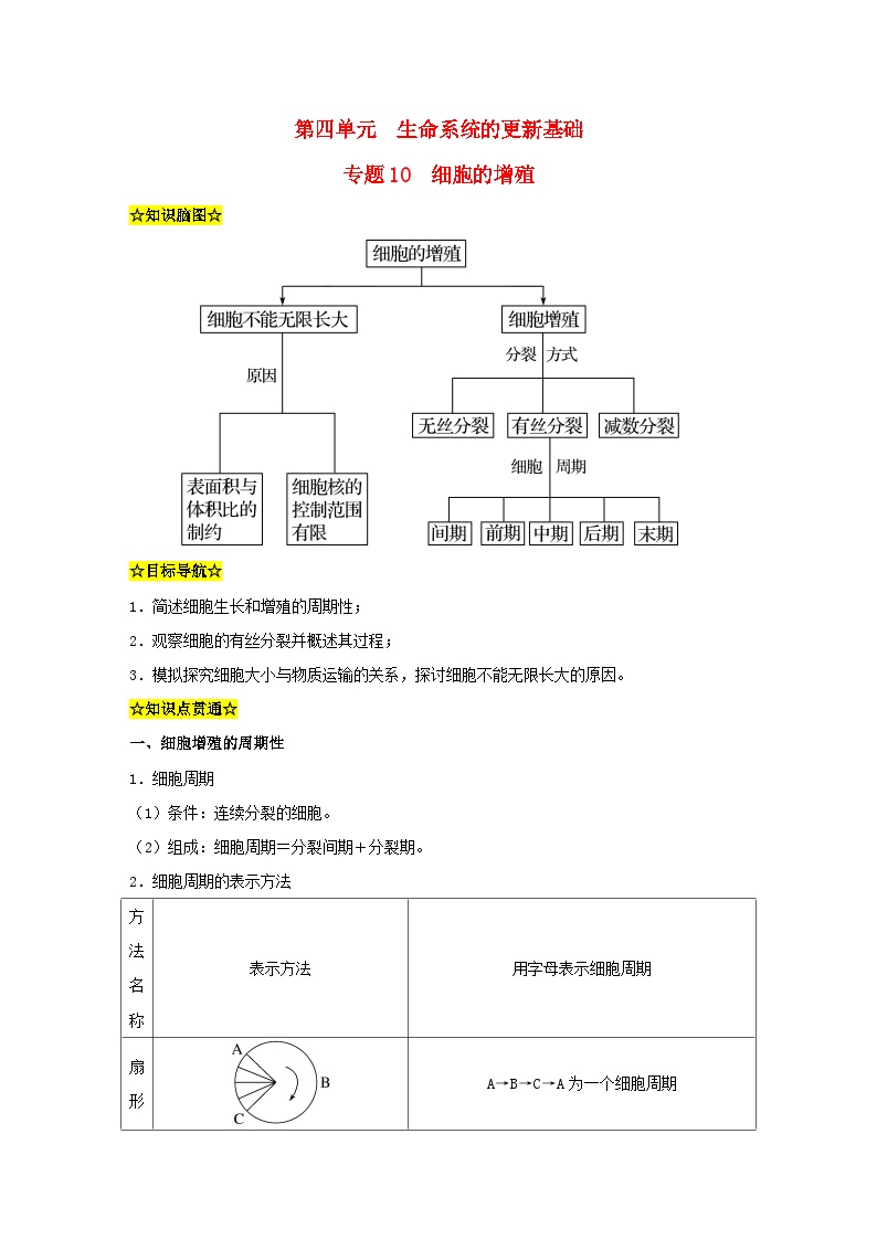 暑期预习2023高中生物专题10细胞的增殖知识精讲新人教版必修1