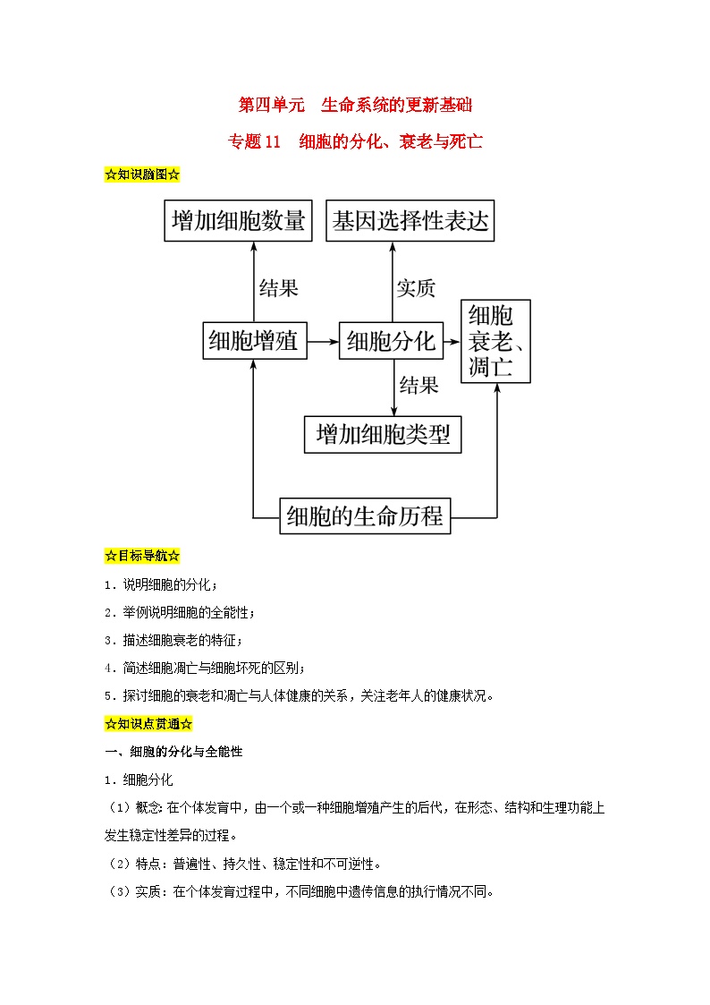 暑期预习2023高中生物专题11细胞的分化衰老与死亡知识精讲新人教版必修1