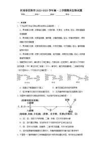河南省信阳市2022-2023学年高一上学期期末生物试题
